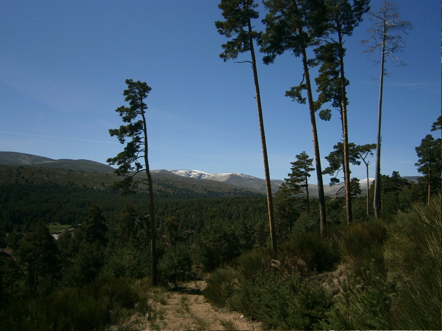 paisajecongredosalfondo